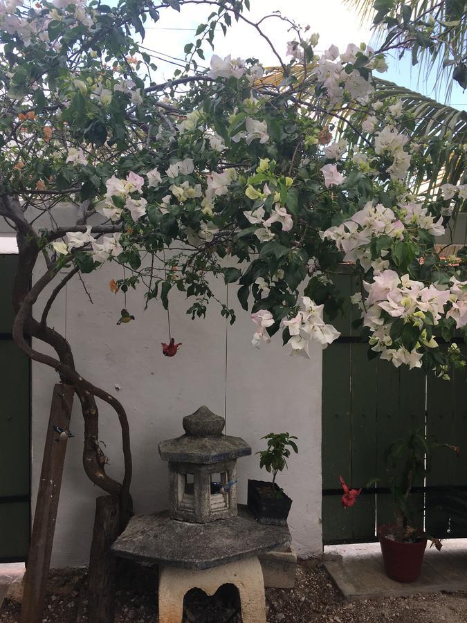 Violeta'S House Apartment แคนคูน ภายนอก รูปภาพ